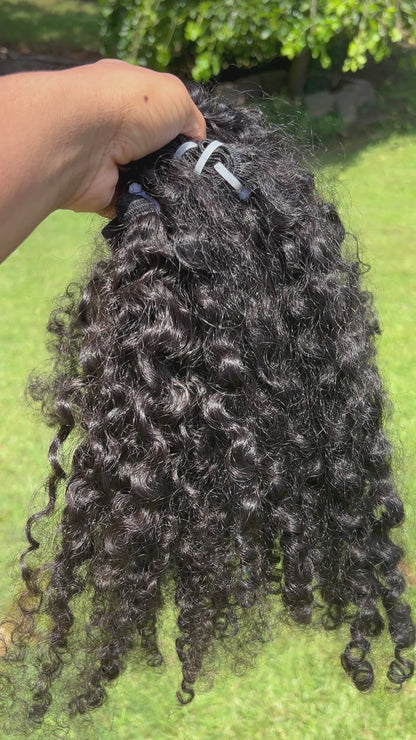 Exotic Curly